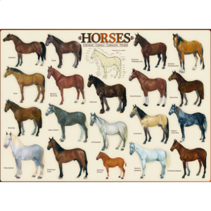 Horses