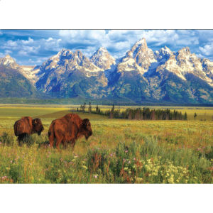 Grand Teton National Park