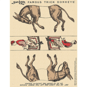 Famous Trick Donkeys – Commemorative Edition – 145 Years