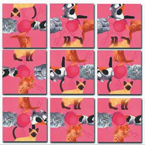 Scramble Squares – Kittens