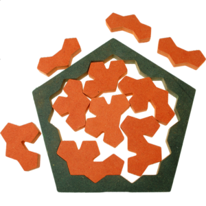 The Pentagon Tiles