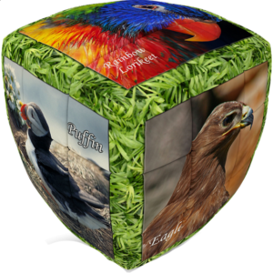 V-CUBE 2 Pillow (2x2x2): Unique Birds
