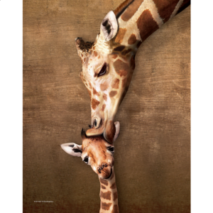 Mini Puzzle – Giraffe Mother’s Kiss