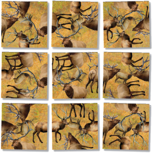 Scramble Squares – Elk