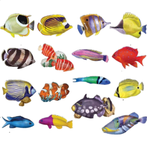 Reef Fish: 16 Mini Shaped Puzzles
