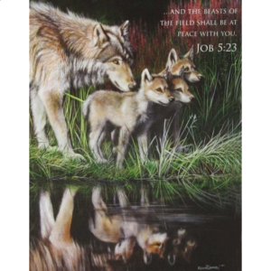 Inspirations: Reflections