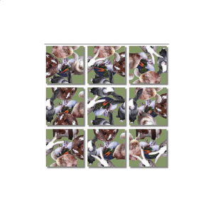 Scramble Squares – Bunnies