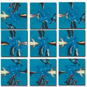 Scramble Squares – Dolphins
