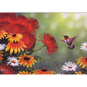 Hummingbird and Red Flower