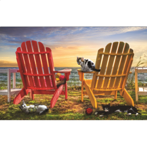 Cat Nap at the Beach