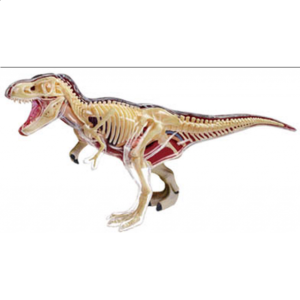 4D Vision – T-Rex Anatomy Model