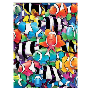 Colors: Clown Fish