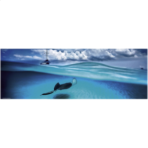 Heye Stingray 1000 Piece David Doublet Panoramic Jigsaw Puzzle