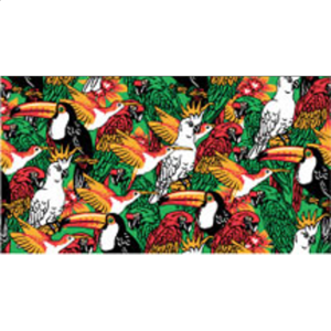 Magnetic Picture Twister – Birds