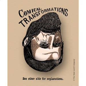 Comical Transformations