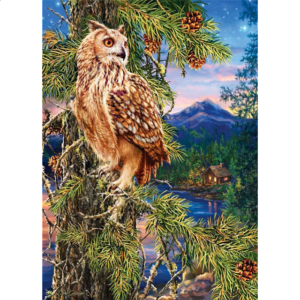 Peek Season – Night Watch