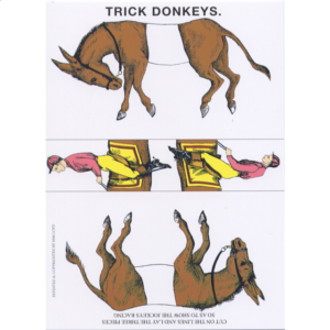 Famous Trick Donkeys – Large Commemorative Edition