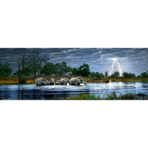 AVH Panorama: Herd of Elephants