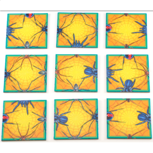 Spectacular Spiders – Dangerous Animals – Wildlife Puzzles