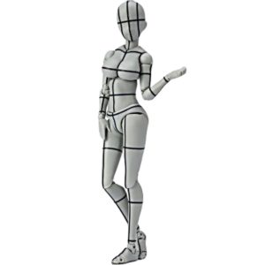 Female Body Chan Kentaro Yabuki Wire Frame Gray Color Version S.H.Figuarts Action Figure
