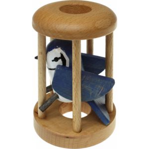 Blue Jay in a Cage